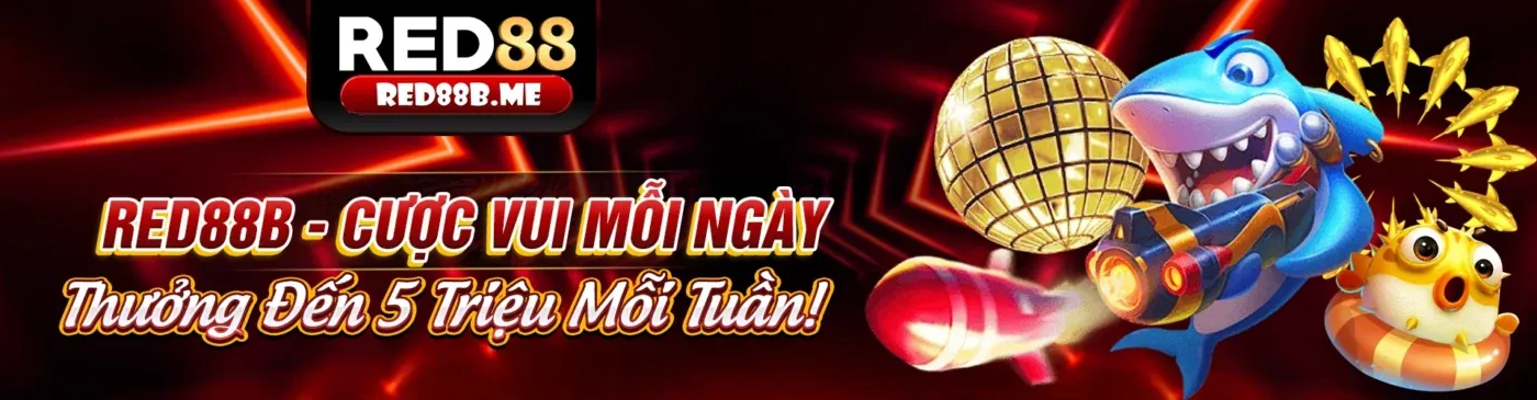 Một người chơi vui vẻ đang sử dụng điện thoại di động để truy cập các chương trình khuyến mãi bk8za